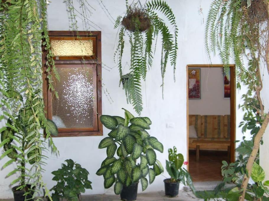 Вилла Preciosa Casa Emblematatica, Piscina,Wifi Санта-Каталина Экстерьер фото
