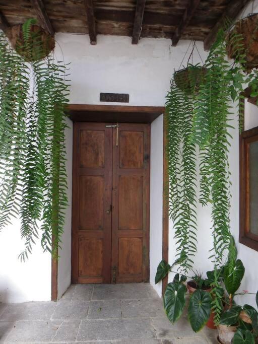 Вилла Preciosa Casa Emblematatica, Piscina,Wifi Санта-Каталина Экстерьер фото